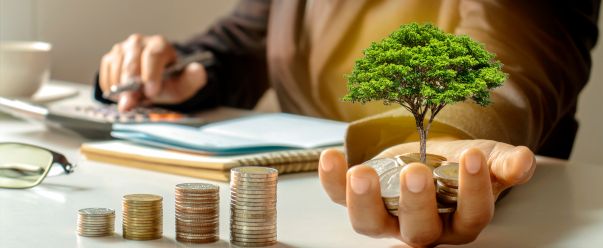 Business Innovation and Investment (Provisional) Visa (Subclass 188 – Investor Stream)