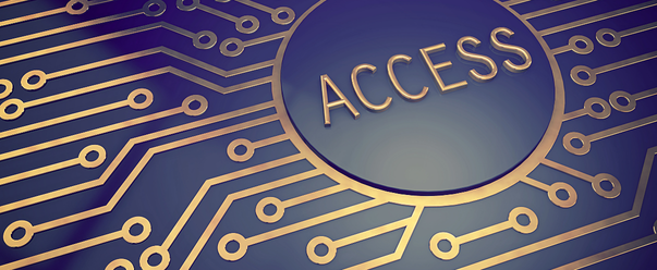 Access to Education and Healthcare