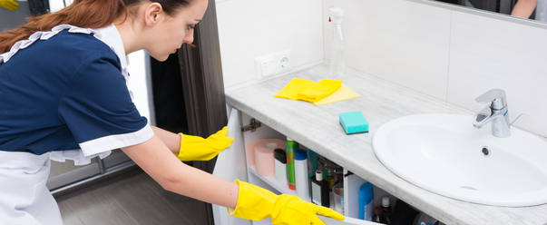 Domestic Worker (Diplomatic or Consular) Stream