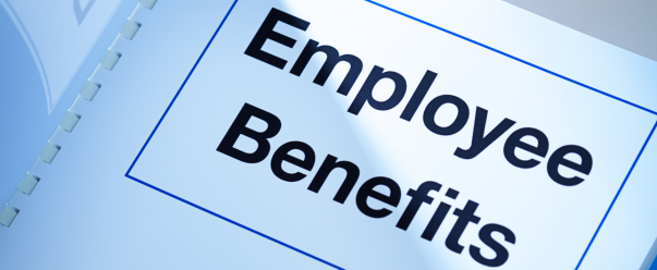 Benefits of the Employer-Sponsored Visa