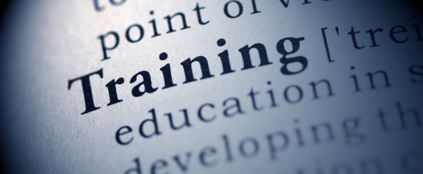Occupational Training Stream