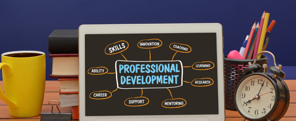 Professional Development Stream